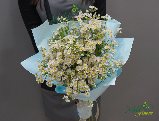 Bouquet of baby's breath in light blue paper photo